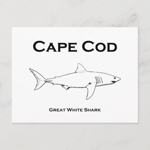 Cape Cod Massachusetts Great White Shark Logo Postcard