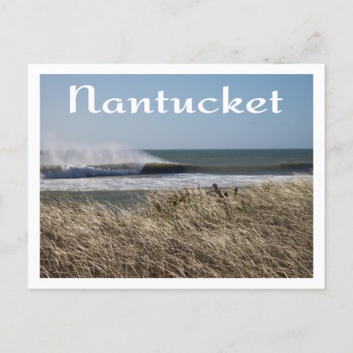 Cape Cod  Nantucket Massachusetts Postcard