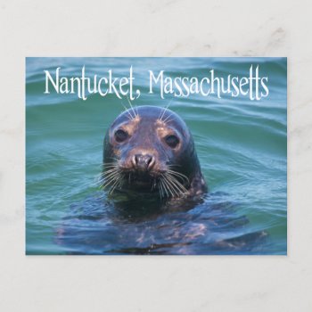 Cape Cod  Nantucket  Massachusetts Seal Postcard by merrydestinations at Zazzle