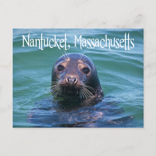 Cape Cod Nantucket Massachusetts Seal Postcard