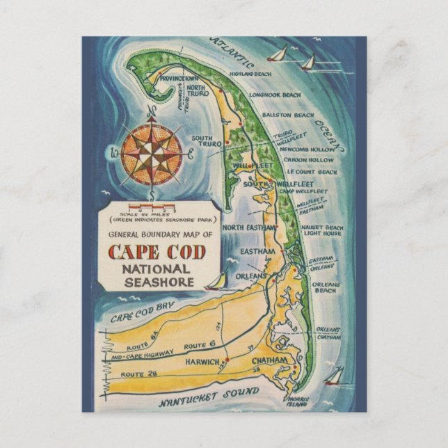 Cape Cod National Seashore  Postcard (Front)