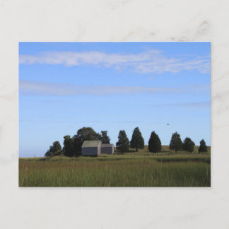 Cape Cod Salt Marsh Postcard