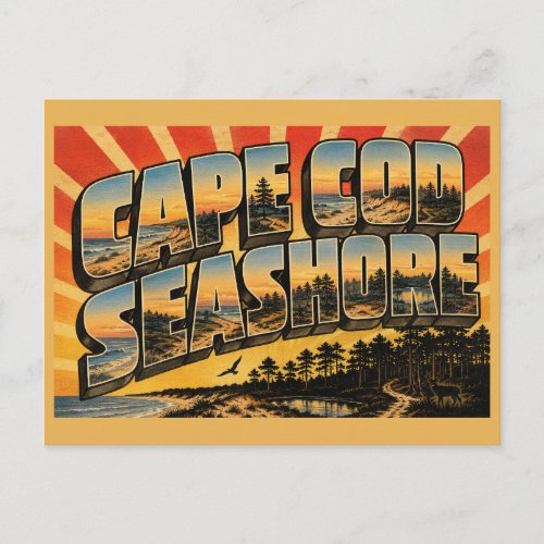 Cape Cod Seashore Massachusetts Beach Dune Forest Postcard