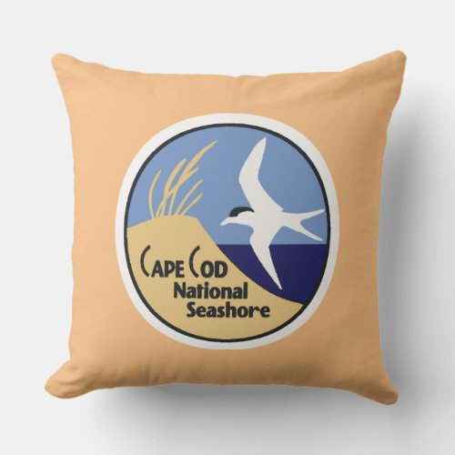 Cape Cod Summer Pillows