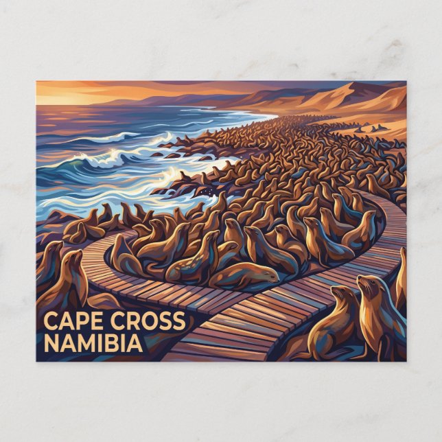 Cape Cross Seal Reserve Namibia Postcard (Front)