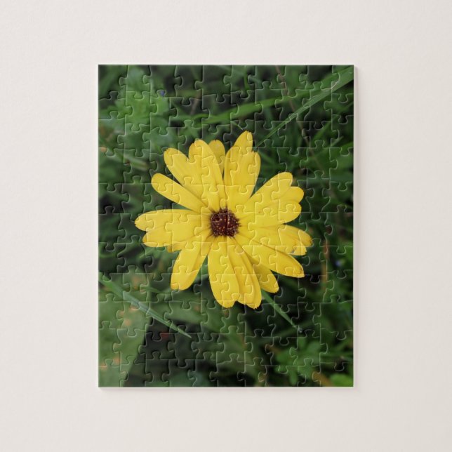 Cape Daisy (yellow flower) Jigsaw Puzzle (Vertical)