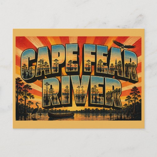 Cape Fear River North Carolina Blackwater Swamp Postcard