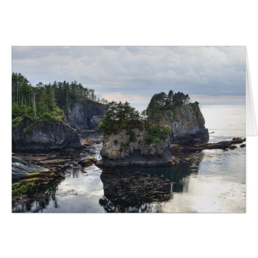 Cape Flattery Cards (Front Horizontal)
