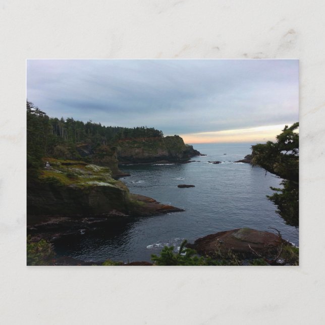 Cape Flattery Olympic Peninsula - Washington Postcard (Front)