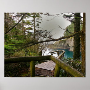 Cape Flattery Olympic Peninsula - Washington Poster
