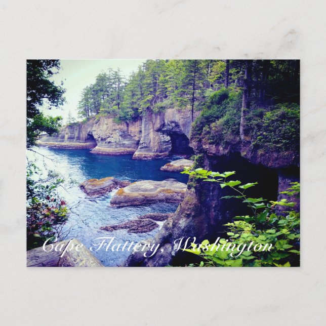 Cape Flattery Postcard (Front)