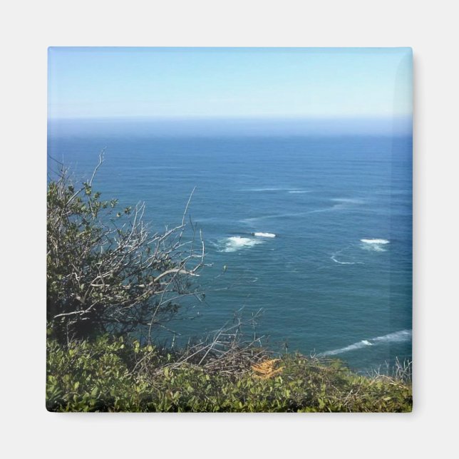 Cape Foulweather, Oregon Magnet (Front)