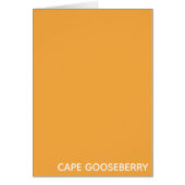 Cape Gooseberry yellow color name (Front)