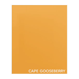 Cape Gooseberry yellow color name Acrylic Print