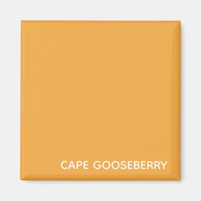 Cape Gooseberry yellow color name Magnet (Front)