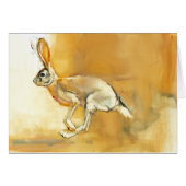 Cape Hare 2010 (Front Horizontal)
