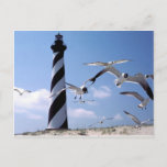 Cape Hatteras Lighthouse North Carolina Lighthouse Postcard at Zazzle