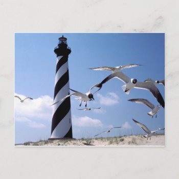 Cape Hatteras Lighthouse North Carolina Lighthouse Postcard by bananasplit at Zazzle