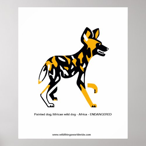 Cape hunting dog _ African wild dog_Endangered _ Poster