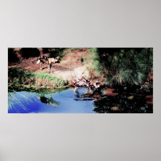 Cape Hunting Dogs Poster