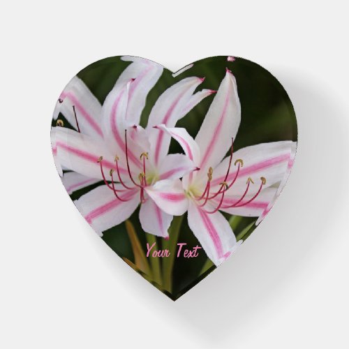 Cape Lilies Heart Glass Paperweight