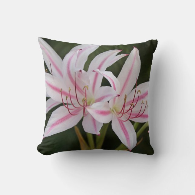Cape Lily Throw Pillow (Front)
