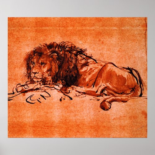 CAPE LION LYING DOWN by Rembrandt Orange Black  Poster