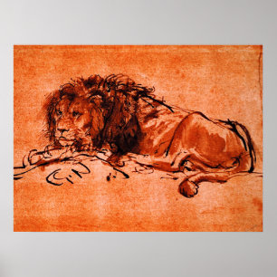 CAPE LION LYING DOWN by Rembrandt Orange Black Poster