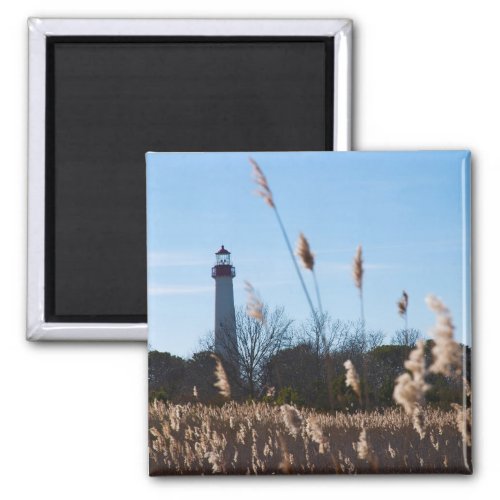 Cape May lighthouse Magnet