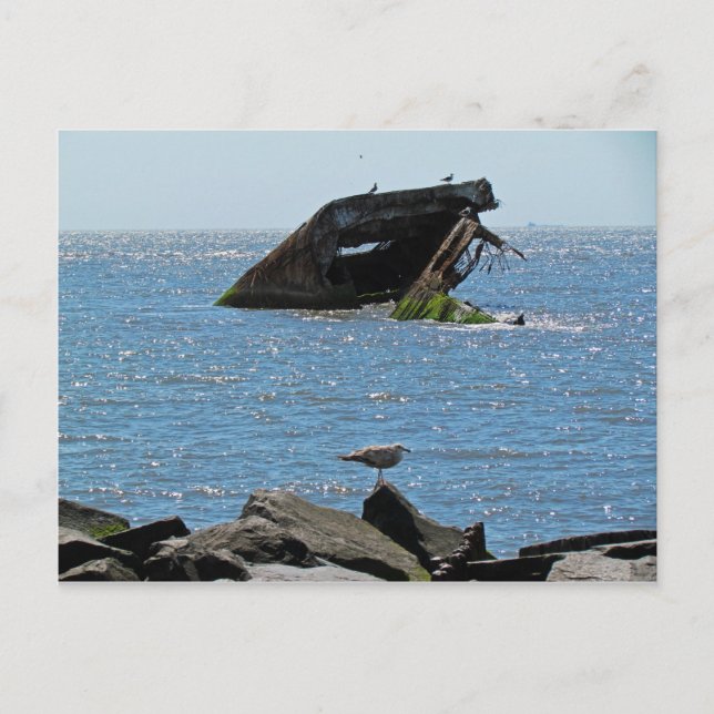 Cape May Shipwreck Postcard (Front)