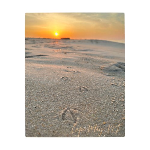 Cape May Sunrise Seagull  Metal Print
