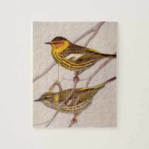 Cape May Warbler Painting by Louis Agassiz Fuertes Jigsaw Puzzle