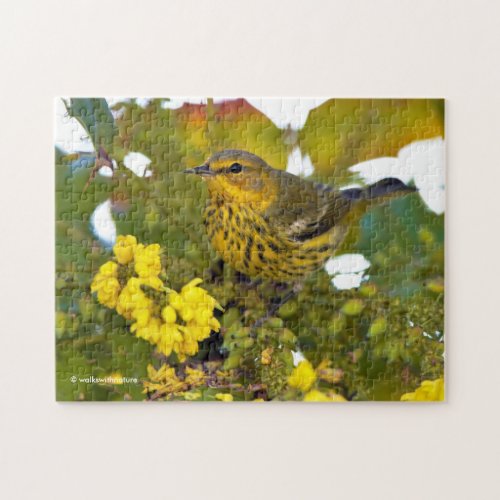 Cape May Warbler Songbird with Flowering Mahonia Jigsaw Puzzle