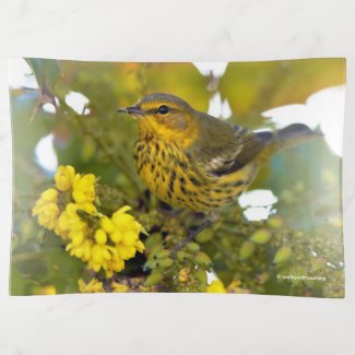 Cape May Warbler with Flowering Mahonia