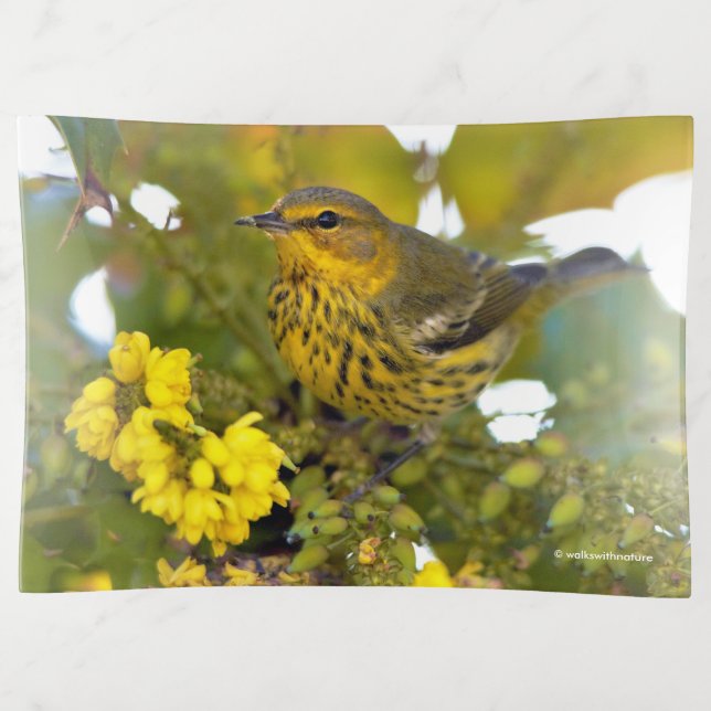 Cape May Warbler with Flowering Mahonia Trinket Tray (Front)
