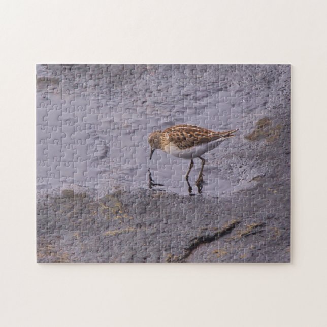 Cape Neddick Least Sandpiper Jigsaw Puzzle (Horizontal)