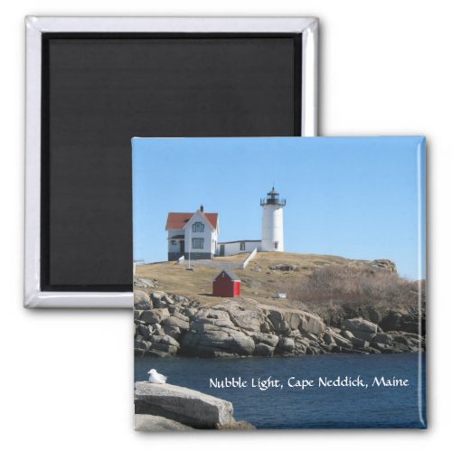 Cape Neddick  York Maine Magnet