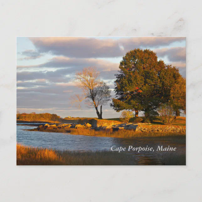 Cape Porpoise, Maine Postcard Zazzle