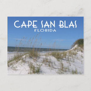 Cape San Blas Florida Postcard