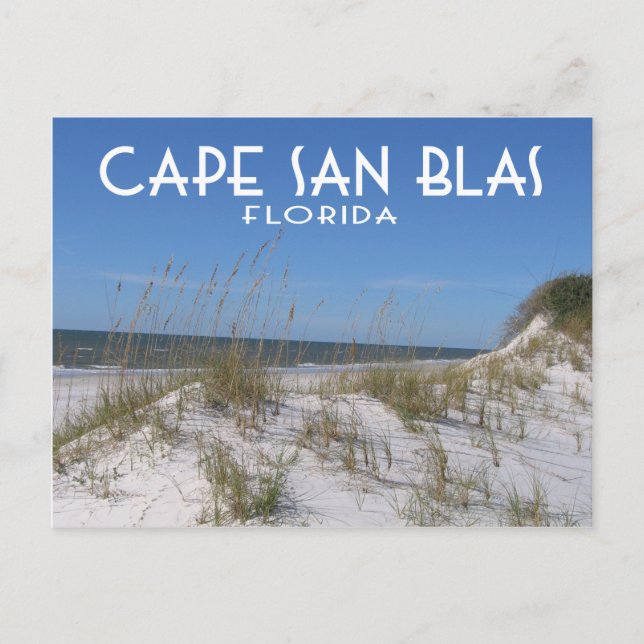 Cape San Blas Florida Postcard (Front)