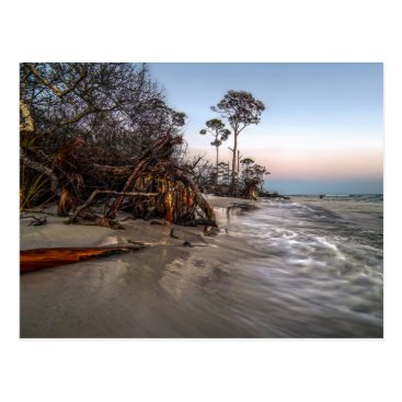 Cape San Blas Postcard Cape San Blas Postcard
