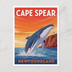 Cape Spear Newfoundland Whale Jumping Postcard