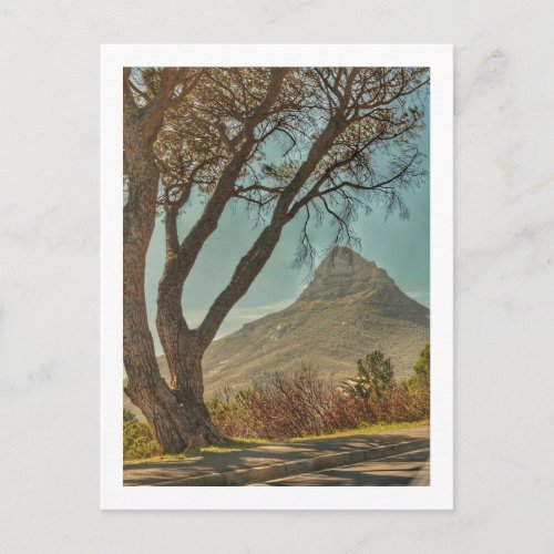 Cape Town Lions Head Landscape South Africa Postcard
