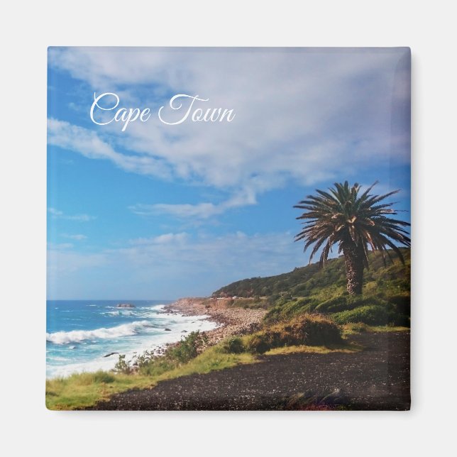 Cape Town Palm Beach Landscape Magnet (Front)