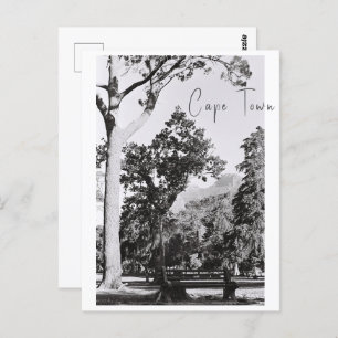 Cape Town Park Nature Mountain South Africa ZA Postcard