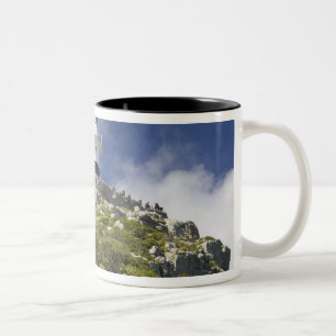 Cape Town, South Africa. A lighthouse on the Two-Tone Coffee Mug