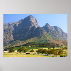 Cape Town, Western Cape, South Africa Poster