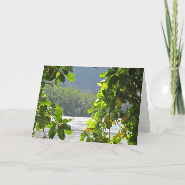 Cape Tribulation Folded Card (Front)