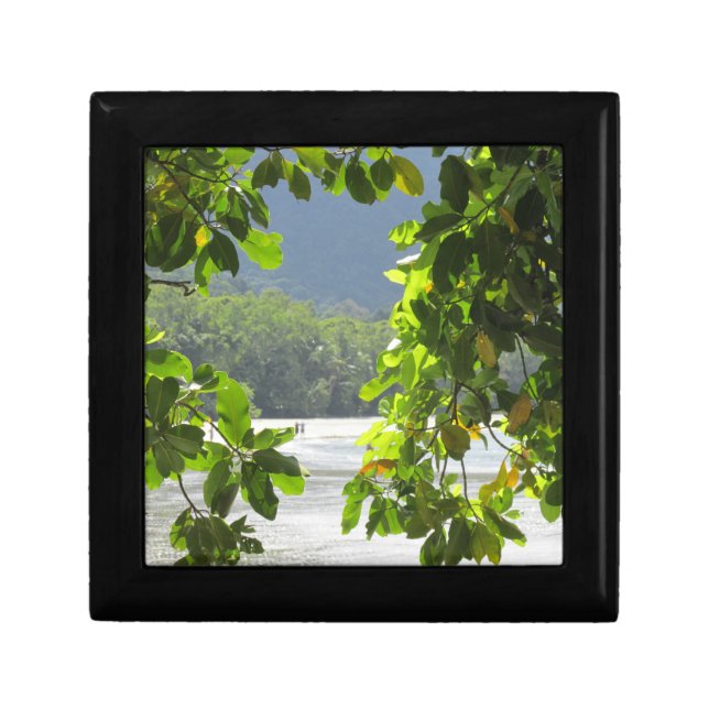 Cape Tribulation Gift Box (Front)