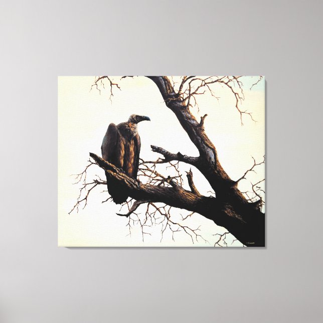 Cape Vulture "Sentinel" Canvas Print (Front)